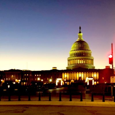 TracyLower's profile picture. 