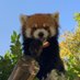 鯖江市西山動物園 (@nishiyama_zoo) Twitter profile photo 鯖江市西山動物園 (@nishiyama_zoo) Twitter profile photo