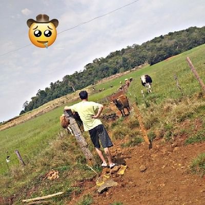 Instagram de Fotos:https://t.co/mEhW5a6KJF

A vida é composto com altos e baixos, então precisa-se lutar para construir.