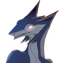 Autkoさんのプロフィール画像