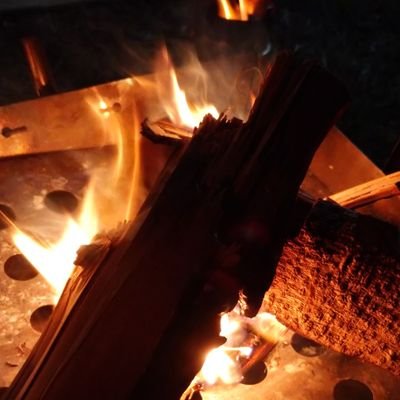 pogona24's profile picture. ボドゲにハマっている  プレイヤーカラー青 焚き火好き 格闘技好き