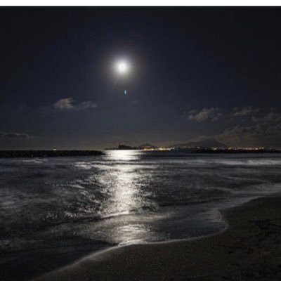 shatere's profile picture. طالب