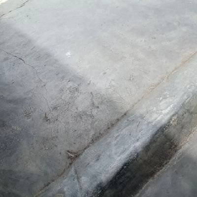 bunga_akasia's profile picture. 