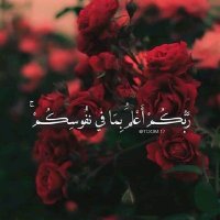 اليماني ٠٠٠ (@1nkbpvftmifnoxb) Twitter profile photo