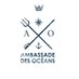 Ambassadeur des Océans (@ambassadeoceans) Twitter profile photo Ambassadeur des Océans (@ambassadeoceans) Twitter profile photo