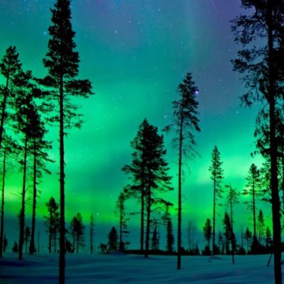 aditi_t01's profile picture. i’m a human (she/her)