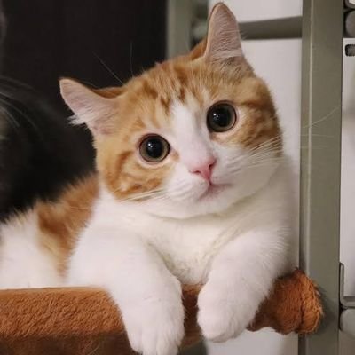 Fling25's profile picture. 