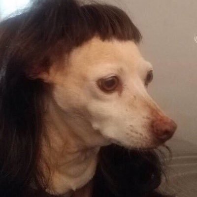 sagrkive's profile picture. no pues ta cabrón 🦫