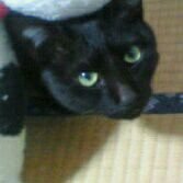 たっくん🍳♨💻🙆 (@cheezjiji) Twitter profile photo