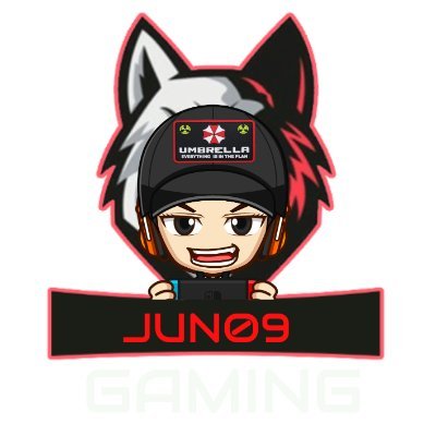 JUNMUSTANG1's profile picture. Computer technician
Gamer