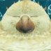 uhh ummm (@jellyfishins) Twitter profile photo uhh ummm (@jellyfishins) Twitter profile photo