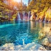 Mush71016268's profile picture. love dogs and adventure