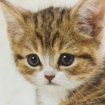 すみれ Jujuさんがインスタにあげた謎解き はるまいきているからあんしんして と読める