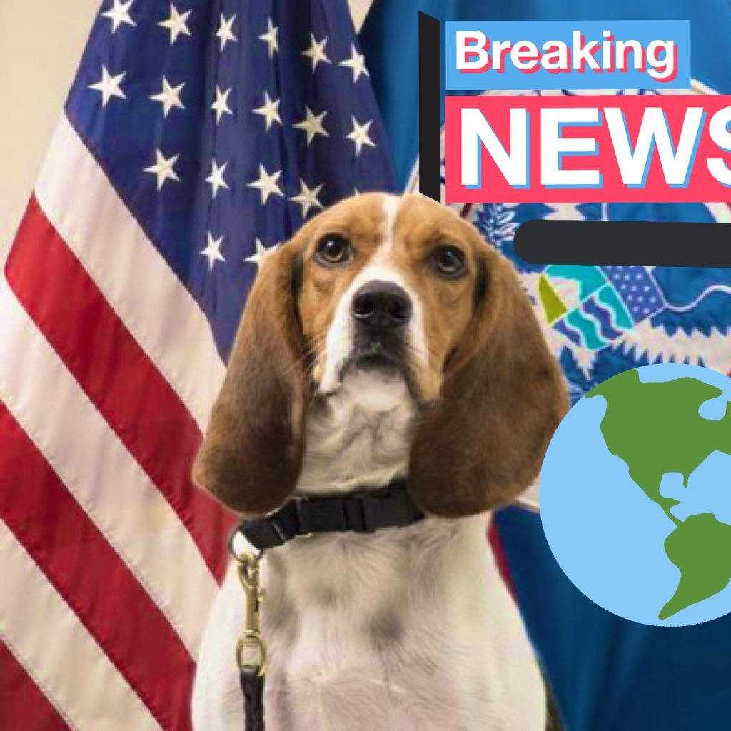 I’m a freaking Beagle and I can smell quite well.  I woof my woof and ruff  the truth🇺🇸