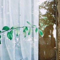 ceren. (@cerenyilmazogl) Twitter profile photo