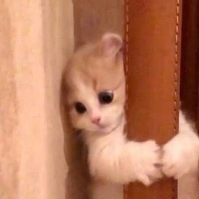 Alone2818's profile picture. หนึ่งวันผ่านไป...🍀