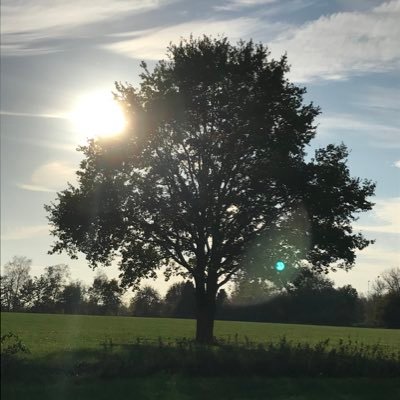 VvickyVW's profile picture. #nlpmasterpractitioner #hrdeskundige  #visualrecording ✏️Hoe authentiek kan je of mag je zijn op het werk? #kiesvoorjezelf #beyourself