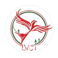 Cludiant Cymunedol Llanwrtyd Community Transport (@lw_ct) 's Twitter Profile