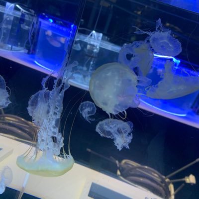 tsukaresugita's profile picture. 裏垢。男