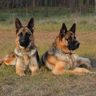 NanyukianP's profile picture. #holly thug㊙️✴️