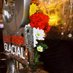 Carolina's bar cafe💚 (@caroayamonte) Twitter profile photo Carolina's bar cafe💚 (@caroayamonte) Twitter profile photo