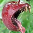 Stefanie Gibson - @mouthee - Twitter