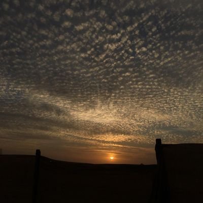 Alwaaleed4's profile picture. ‏‏‏‏‏‏‏‏ ‎‎‎‎‎‎‎‎#توقيف_الخدمات دمرني

 حسبي الله لااله الاهوعليه توكلت وهو رب العرش العظيم

    ‏عسى الله يعطي كل مسلم على قد نياته