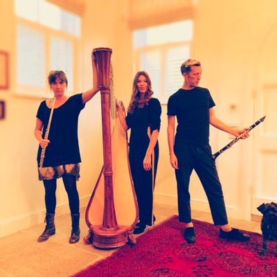 Flute, Clarinet and Harp @ElizaRoseFlute @nickellistunes @camillapay https://t.co/OFgOwNFwww