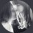 nana_07_ciel's profile image