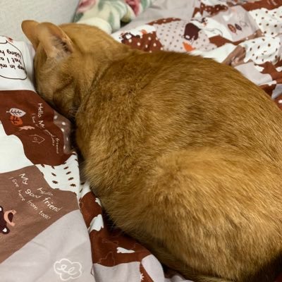 Mizuki55t's profile picture. 