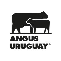 Angus Uruguay (@angusuruguay) 's Twitter Profile