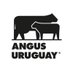 Angus Uruguay (@angusuruguay) Twitter profile photo Angus Uruguay (@angusuruguay) Twitter profile photo