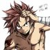 Natsu Dragneel (@FTdragonforce) Twitter profile photo