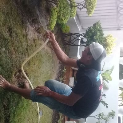 berkebun taman