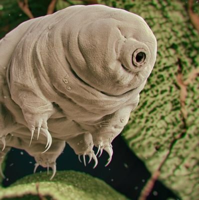 Coemgen9's profile picture. bienvenue sur mon cahier de brouillon.