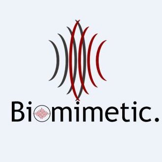 Biomimetic is a start-up company that utilizes lasers to provide anti-reflective ,anti-fogging ,water repellent and other kinds of engineered glass.