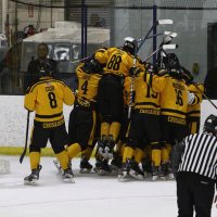 Bishop Fenwick Boys Varsity Hockey(@BFVarsityHockey) 's Twitter Profileg