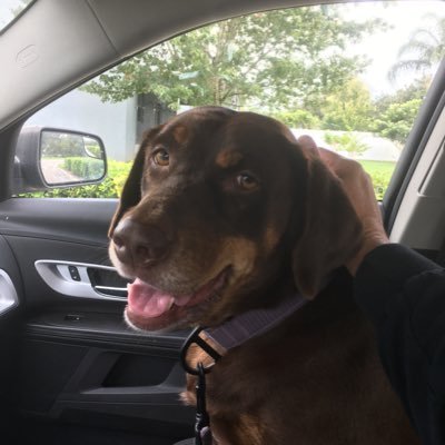 PGA Golf Professional and lover of Labradors, Poker and Crypto. Will give golf lessons for #Bitcoin