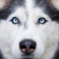 mxhist (@mxhist) 's Twitter Profile
