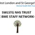 Evolve (BAME) Staff Network SWLSTG (@ESwlstg) Twitter profile photo