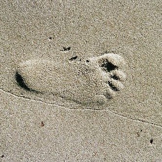 kmkwagner's profile picture. gone fission