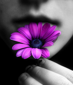 Lucy2023's profile picture. 