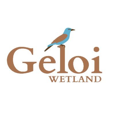 Geloi wetland is a stop-over site for migratory birds. We are creating a safe place for biodiversity where you do not hear hunting shots but bird’s song.