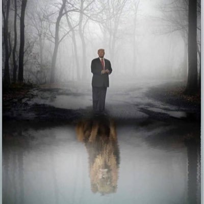 MsPsmom45's profile picture. MAGA Trump2020🇺🇸🇺🇸🇺🇸