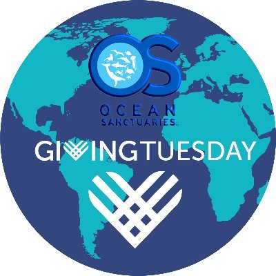 Ocean Sanctuaries wants you to help create a World where People and the Ocean thrive!

Be an Ocean Ambassador, You can change the future!