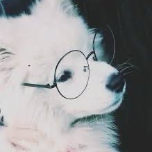 YZg_89's profile picture. Industrial Engineering Ph.d. Student @NWPU China