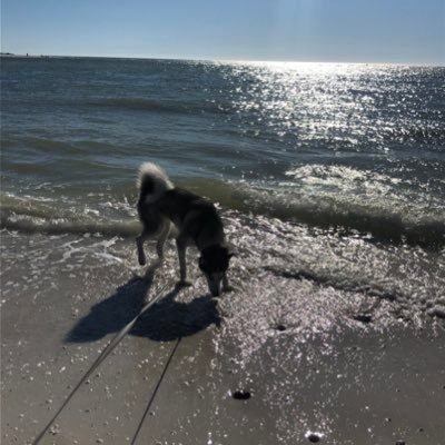 lathea17's profile picture. 