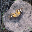 Bryan John Aldridge - @Bryan_Aldridge - Twitter