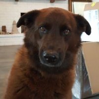 Jenna P (@jennap_texas) 's Twitter Profile