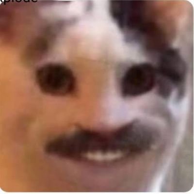 varconstant's profile picture. 24